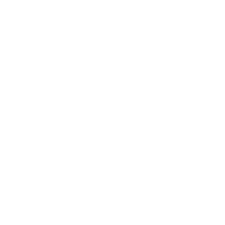 Z-Fast Racing Team