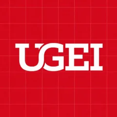 United Group for Engineering & Investment