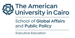 The American University in Cairo