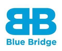 Blue Bridge Group AI
